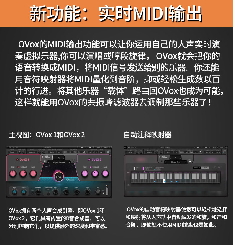 图片[5]-OVox Vocal ReSynthesis 声码器效果器人声电音效果插件