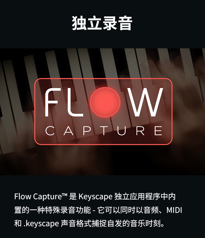 图片[12]-Keyscape钢琴编曲音源插件送85G精选音色