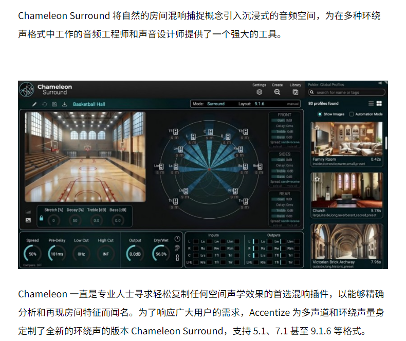 图片[5]-Accentize ChameleonSurround效果器环绕声变色龙混响捕获插件