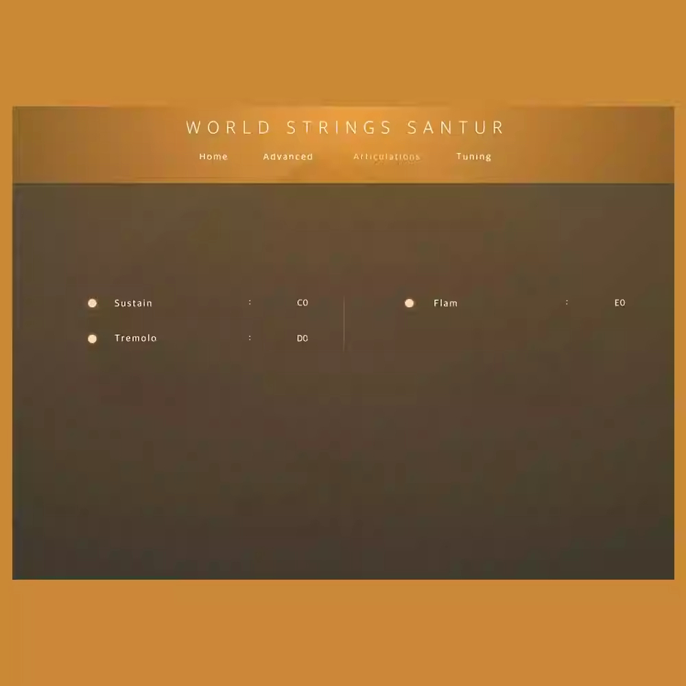 图片[5]-World Strings Santur中东波斯扬琴洋琴桑图尔琴音色—KONTAKT音源（5G）